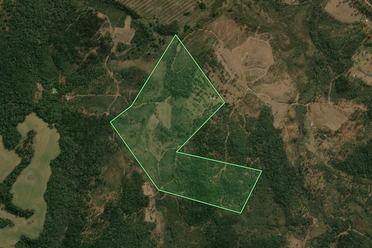 Imagem de satélite do imóvel rural em Pinhão (PR), com o contorno declarado no CAR desenhado por cima.