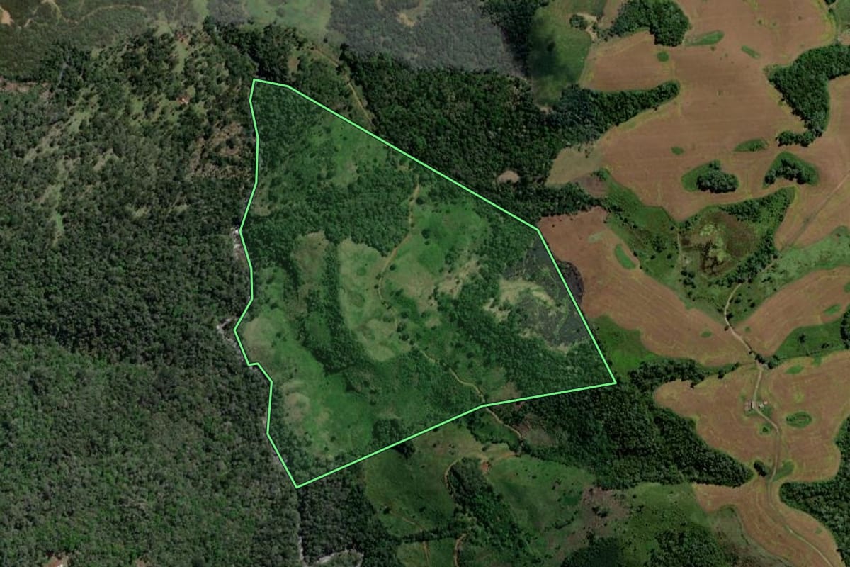 Imagem de satélite do imóvel rural em Pinhão (PR), com o contorno declarado no CAR desenhado por cima.