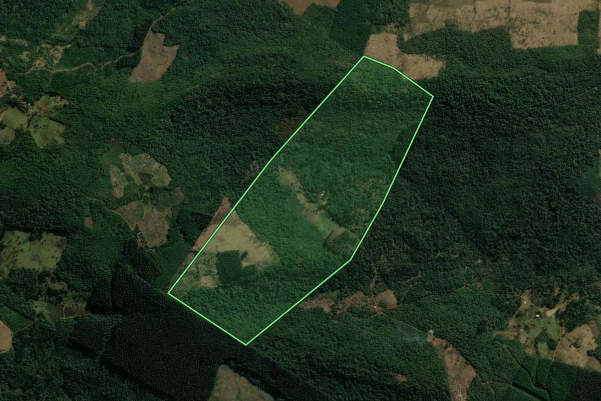 Imagem de satélite do imóvel rural em Pinhão (PR), com o contorno declarado no CAR desenhado por cima.