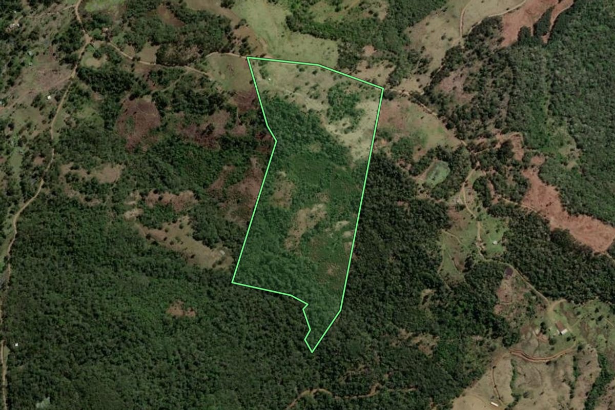 Imagem de satélite do imóvel rural em Pinhão (PR), com o contorno declarado no CAR desenhado por cima.