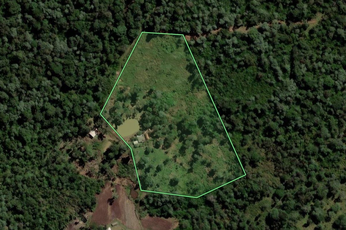 Imagem de satélite do imóvel rural em Pinhão (PR), com o contorno declarado no CAR desenhado por cima.
