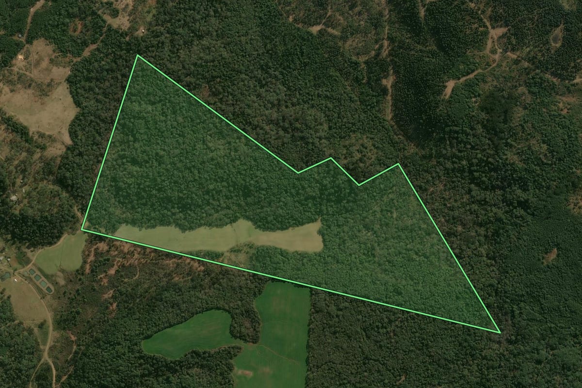 Imagem de satélite do imóvel rural em Pinhão (PR), com o contorno declarado no CAR desenhado por cima.