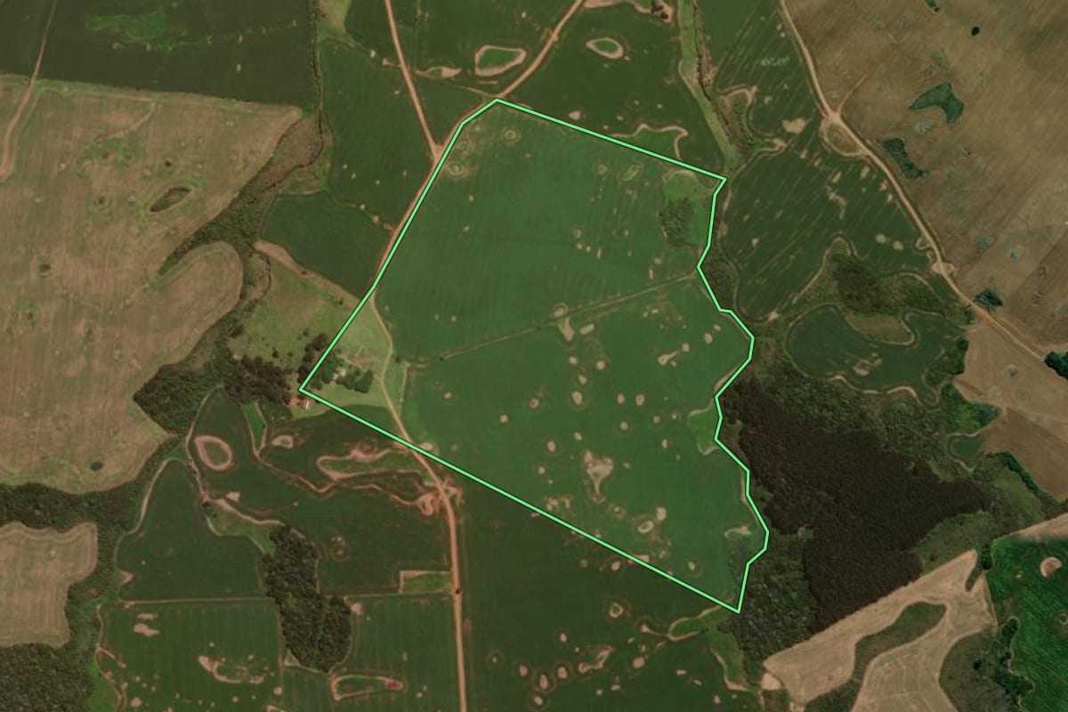 Imagem de satélite do imóvel rural em Pinhão (PR), com o contorno declarado no CAR desenhado por cima.