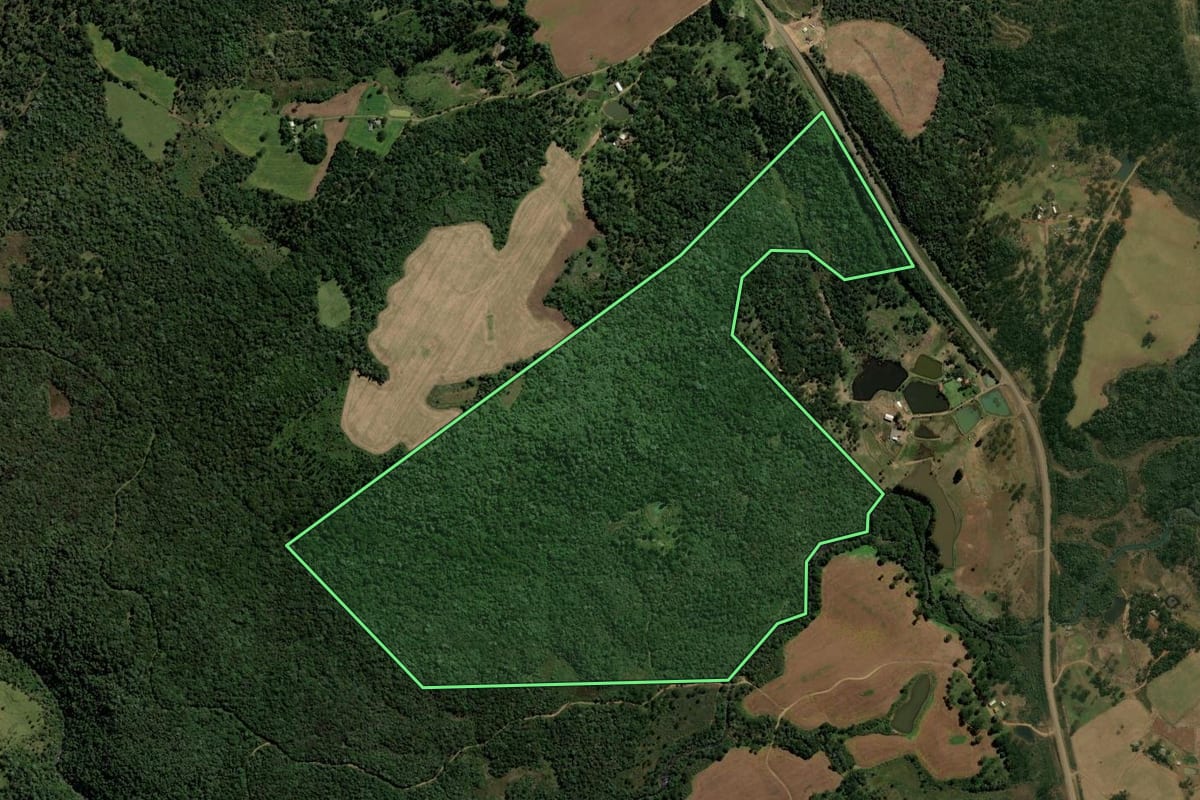 Imagem de satélite do imóvel rural em Pinhão (PR), com o contorno declarado no CAR desenhado por cima.