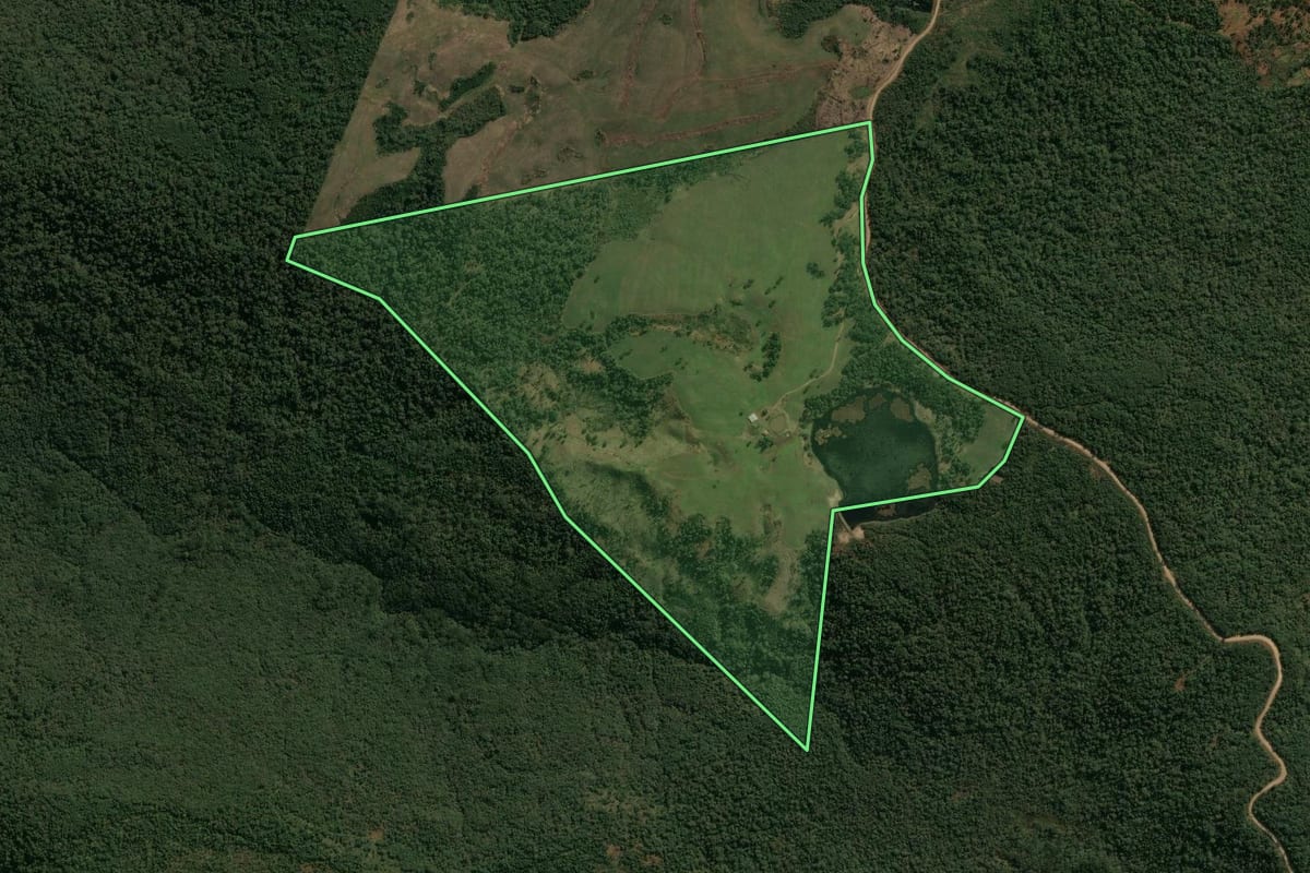 Imagem de satélite do imóvel rural em Pinhão (PR), com o contorno declarado no CAR desenhado por cima.