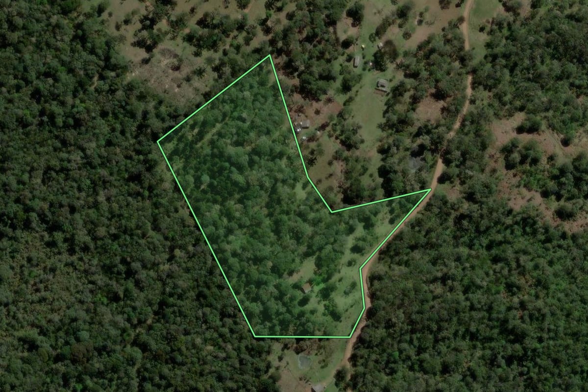 Imagem de satélite do imóvel rural em Pinhão (PR), com o contorno declarado no CAR desenhado por cima.