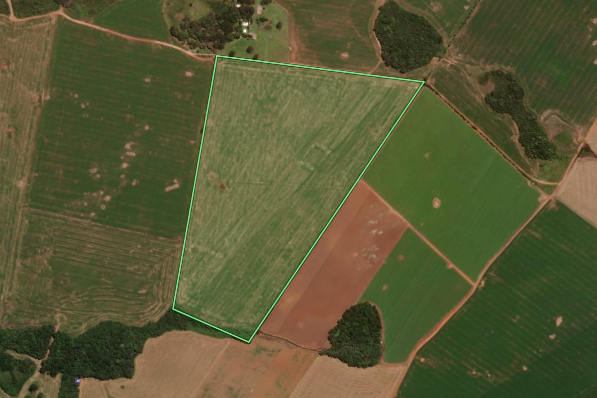 Imagem de satélite do imóvel rural em Pinhão (PR), com o contorno declarado no CAR desenhado por cima.