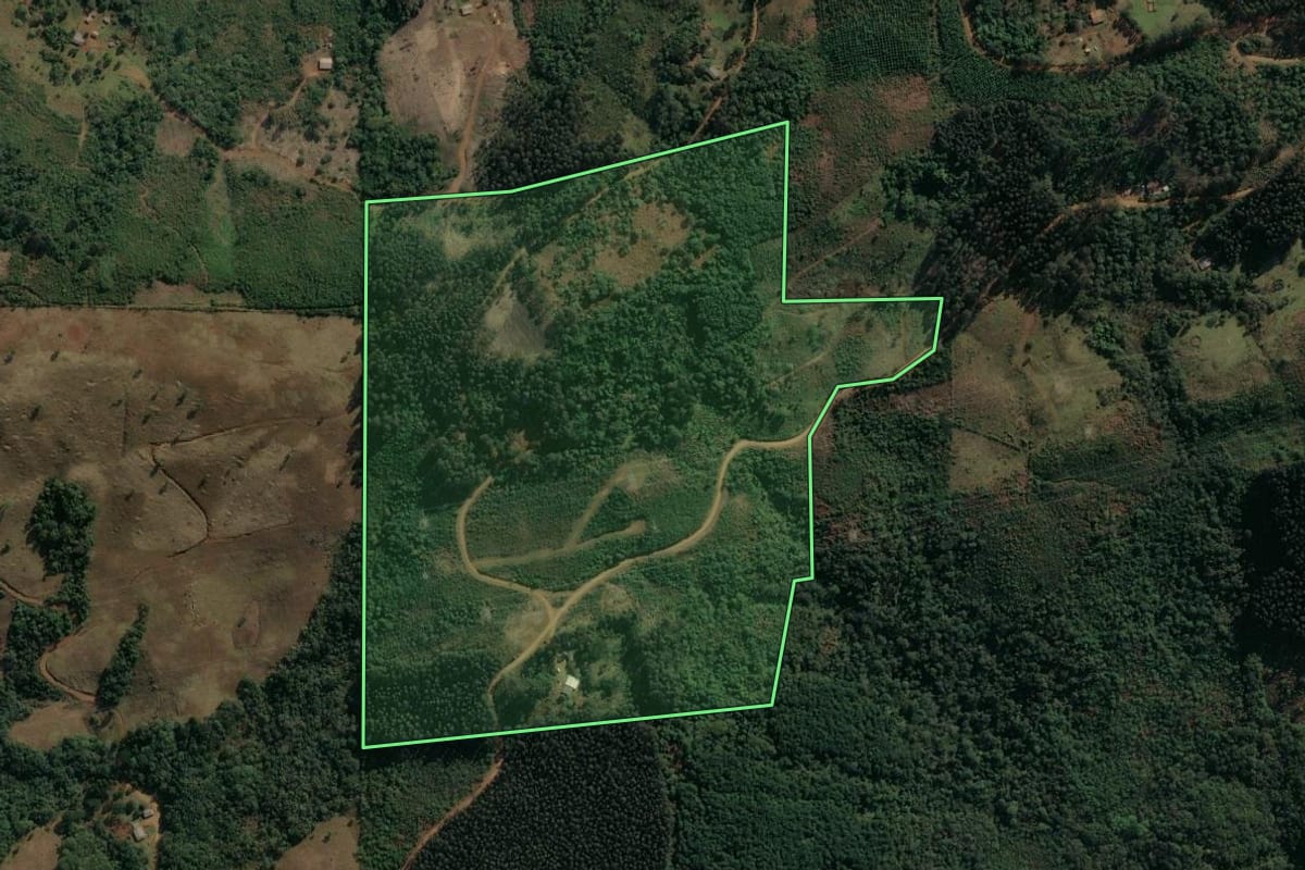 Imagem de satélite do imóvel rural em Pinhão (PR), com o contorno declarado no CAR desenhado por cima.