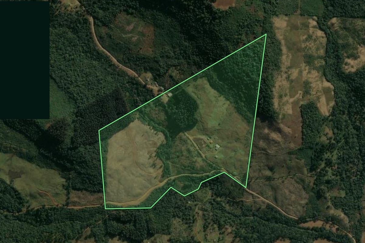 Imagem de satélite do imóvel rural em Pinhão (PR), com o contorno declarado no CAR desenhado por cima.