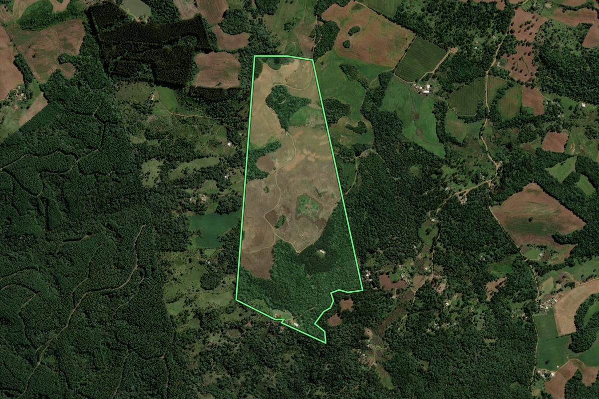 Imagem de satélite do imóvel rural em Pinhão (PR), com o contorno declarado no CAR desenhado por cima.