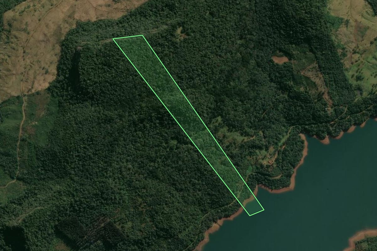 Imagem de satélite do imóvel rural em Pinhão (PR), com o contorno declarado no CAR desenhado por cima.