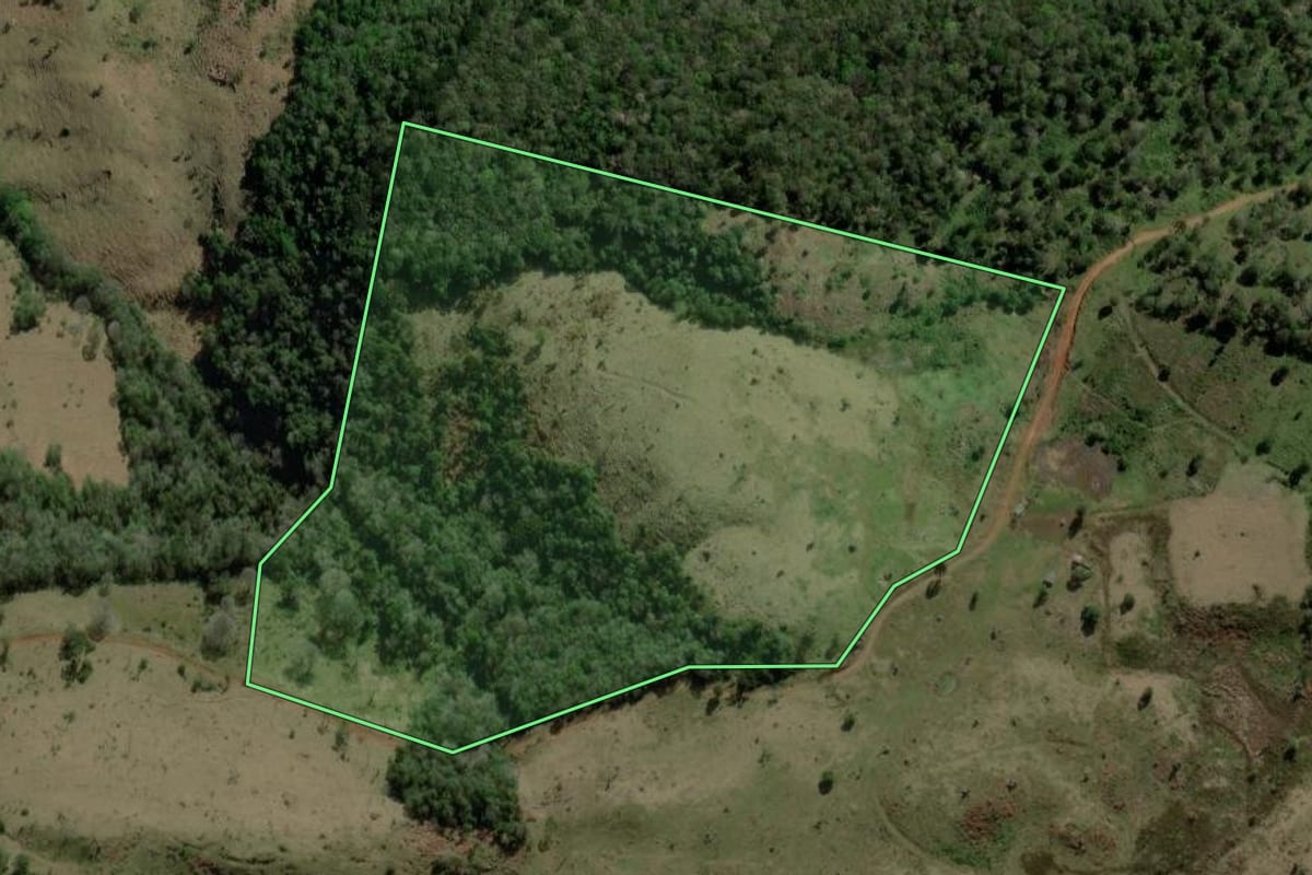 Imagem de satélite do imóvel rural em Pinhão (PR), com o contorno declarado no CAR desenhado por cima.