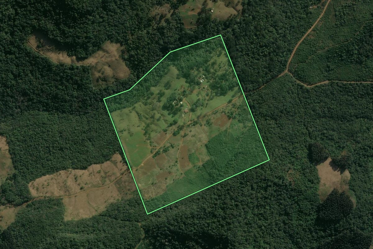 Imagem de satélite do imóvel rural em Pinhão (PR), com o contorno declarado no CAR desenhado por cima.