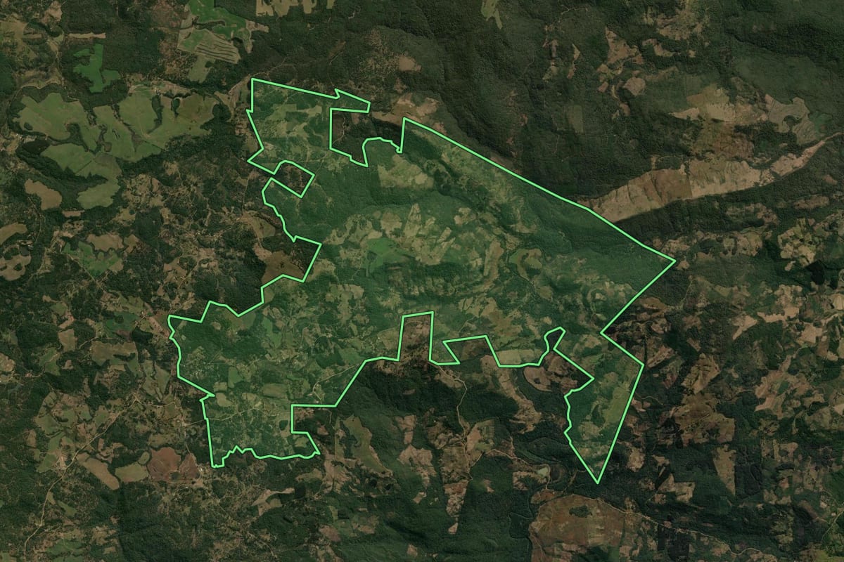 Imagem de satélite do imóvel rural em Pinhão (PR), com o contorno declarado no CAR desenhado por cima.