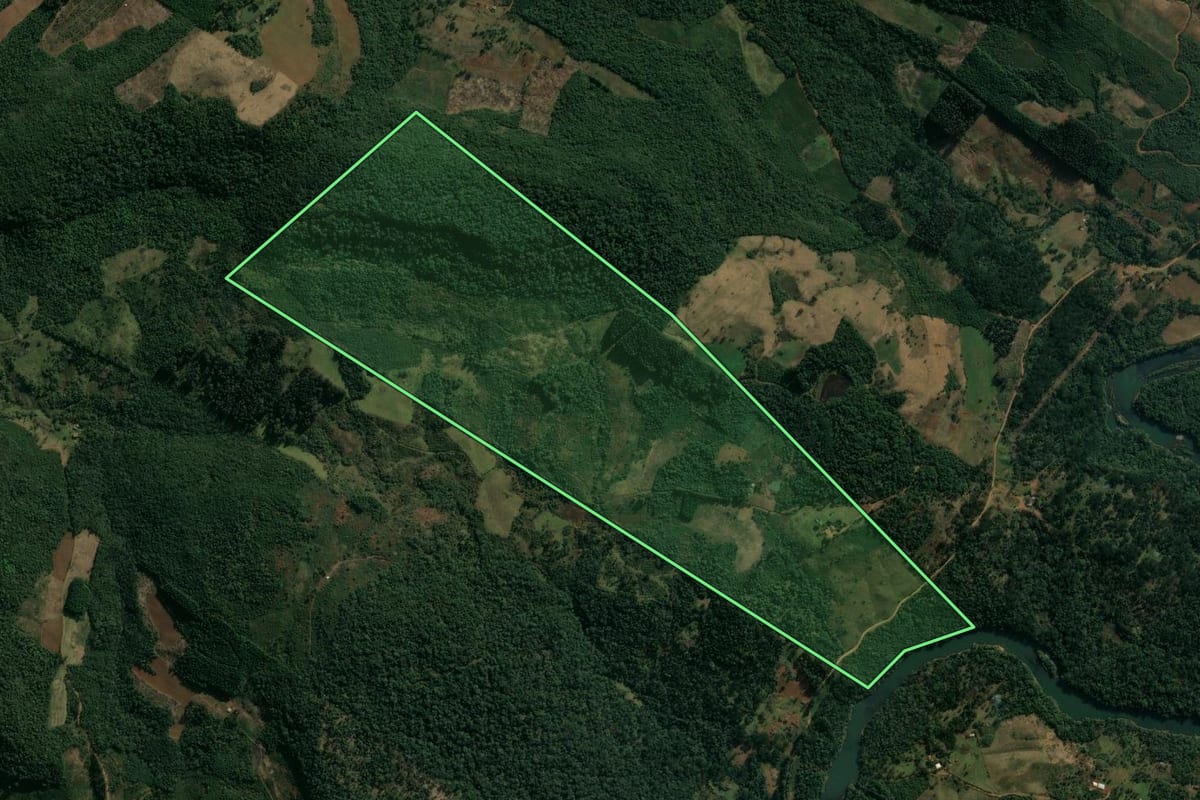 Imagem de satélite do imóvel rural em Pinhão (PR), com o contorno declarado no CAR desenhado por cima.