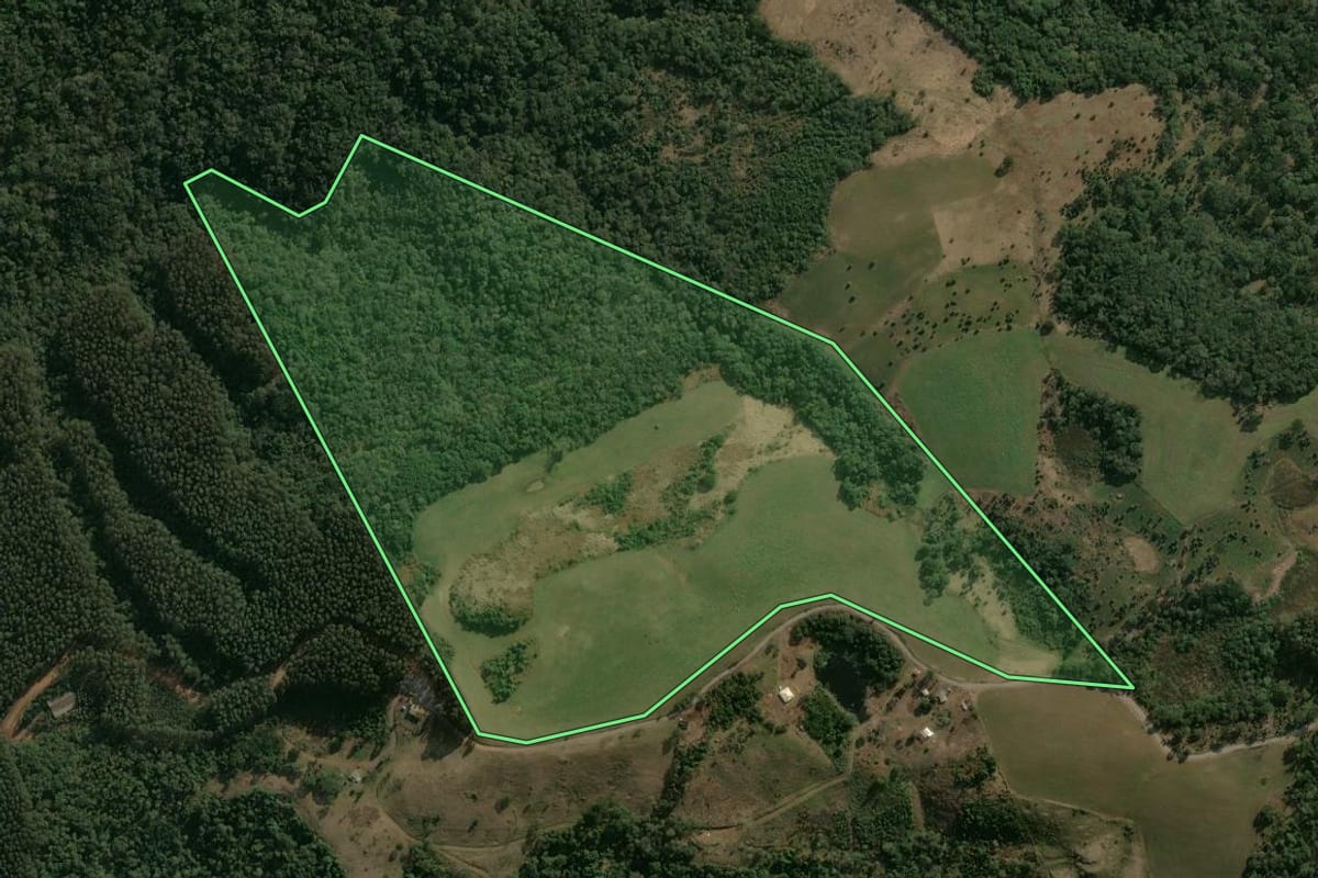Imagem de satélite do imóvel rural em Pinhão (PR), com o contorno declarado no CAR desenhado por cima.
