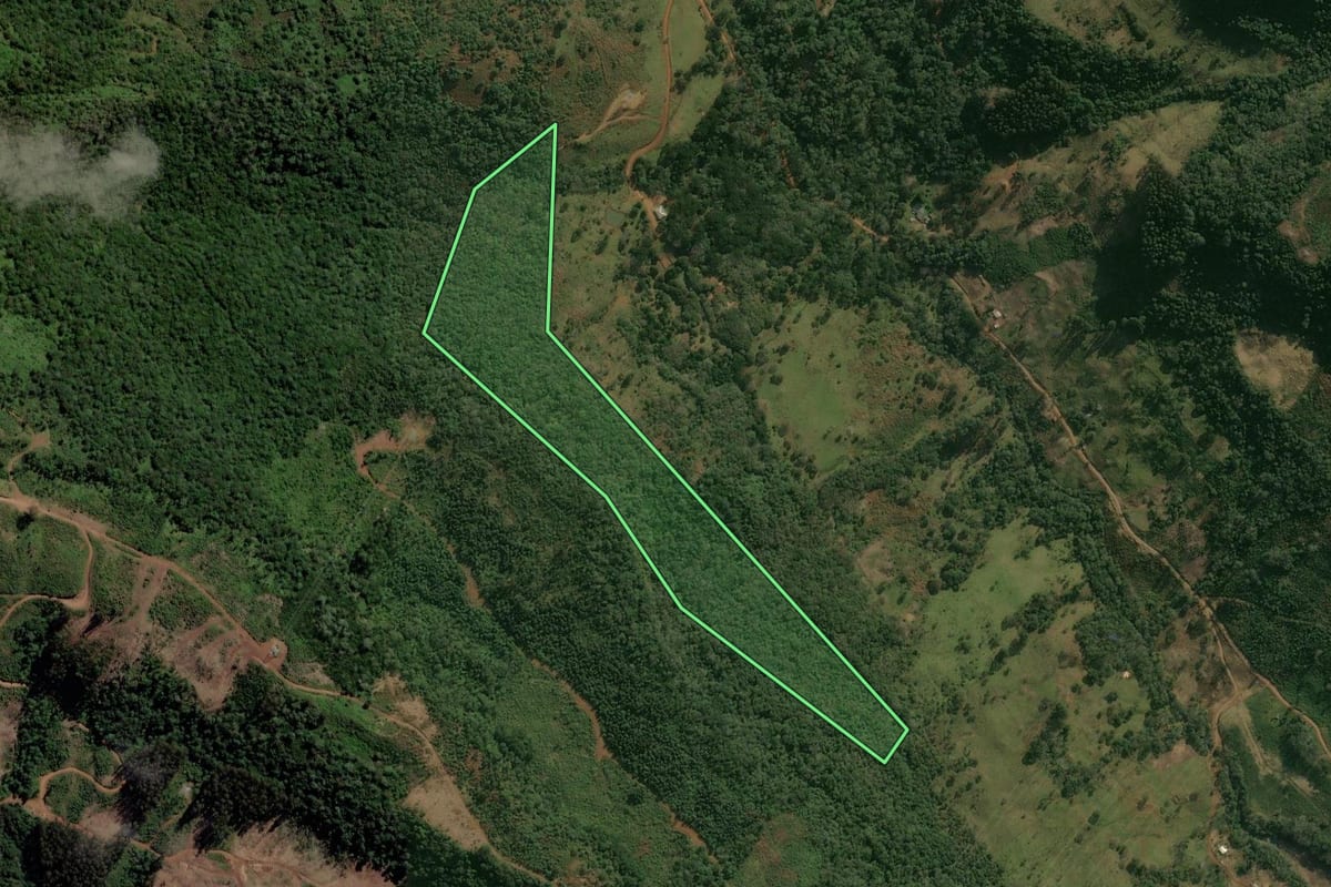 Imagem de satélite do imóvel rural em Pinhão (PR), com o contorno declarado no CAR desenhado por cima.