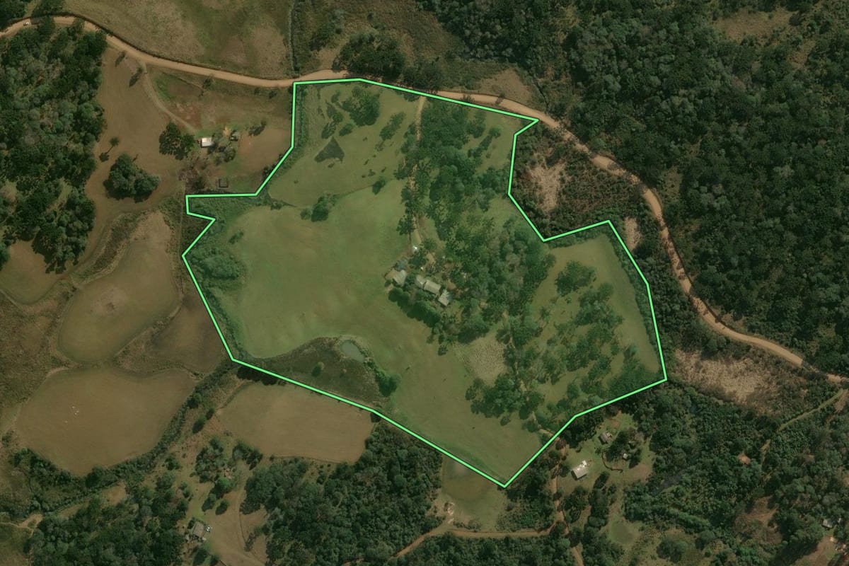 Imagem de satélite do imóvel rural em Pinhão (PR), com o contorno declarado no CAR desenhado por cima.