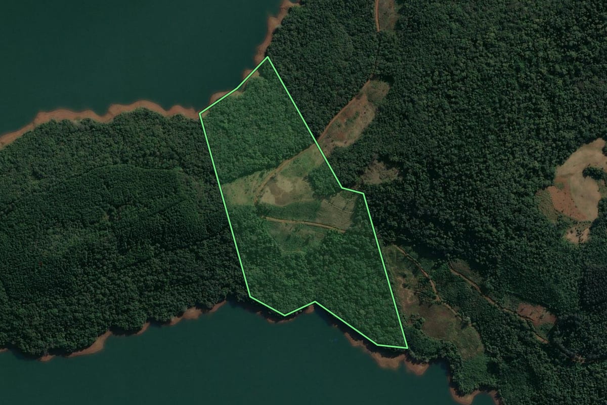 Imagem de satélite do imóvel rural em Pinhão (PR), com o contorno declarado no CAR desenhado por cima.