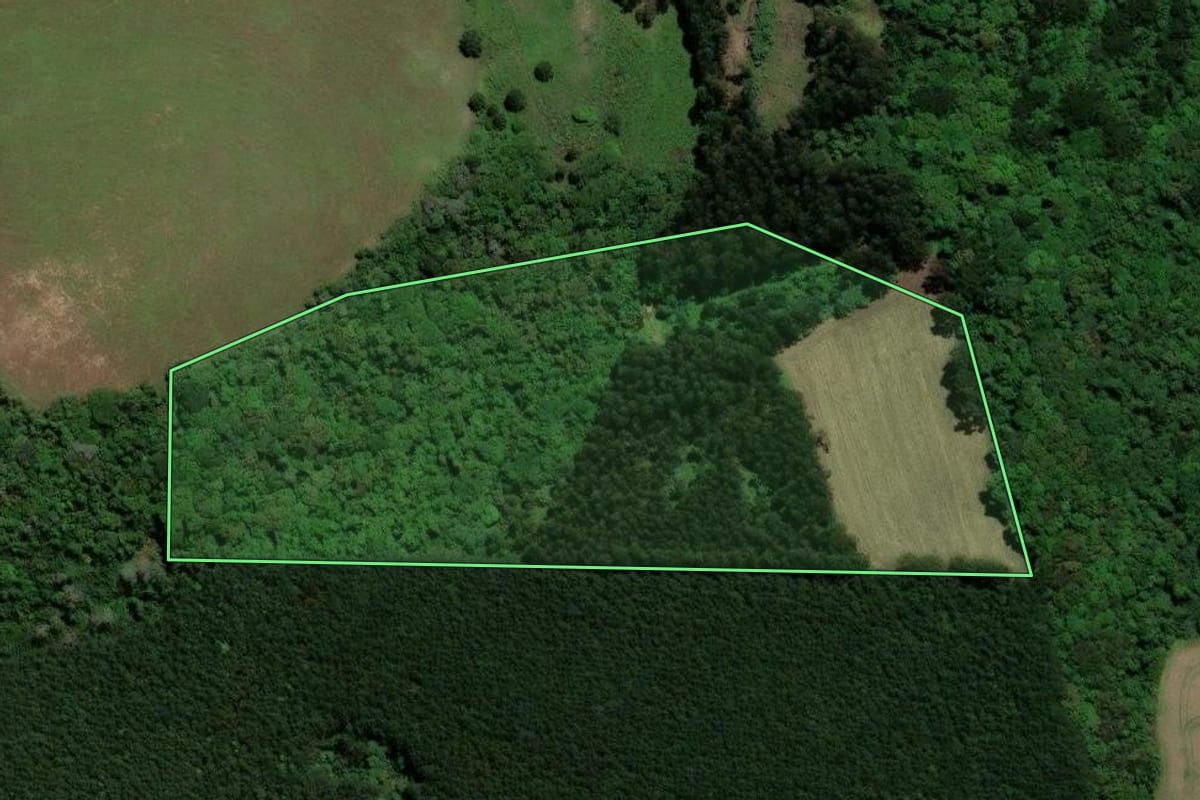 Imagem de satélite do imóvel rural em Piraí do Sul (PR), com o contorno declarado no CAR desenhado por cima.