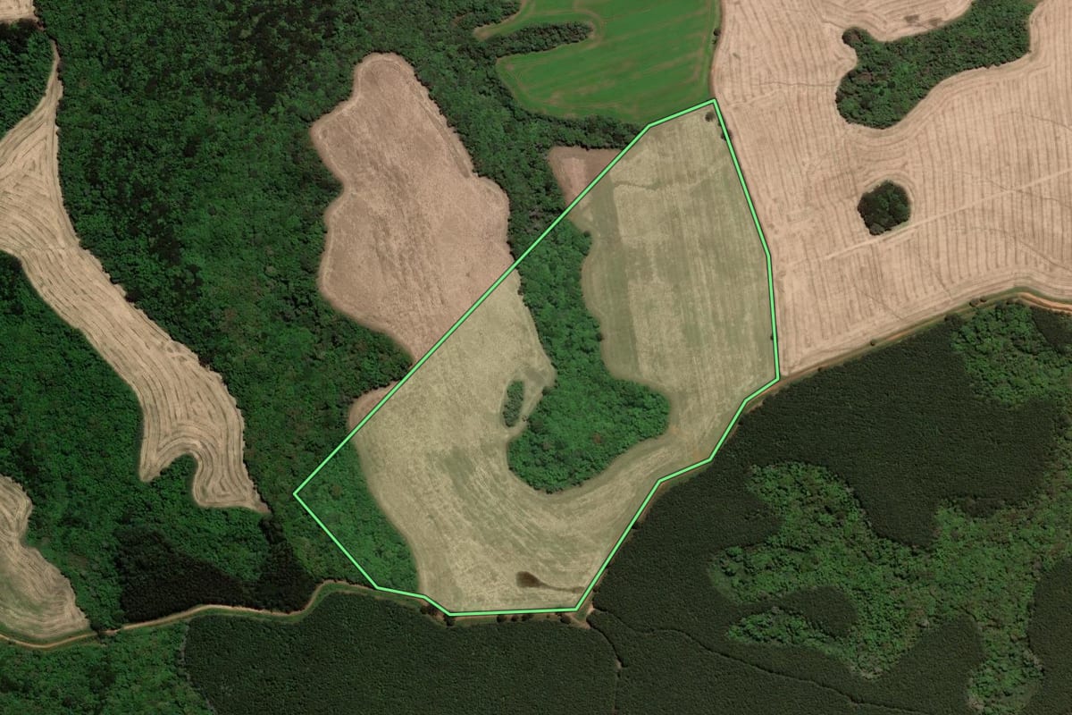 Imagem de satélite do imóvel rural em Piraí do Sul (PR), com o contorno declarado no CAR desenhado por cima.
