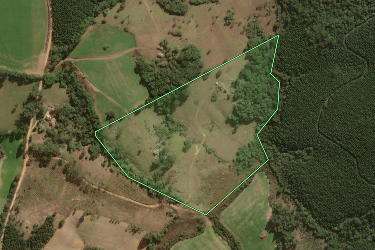 Imagem de satélite do imóvel rural em Piraí do Sul (PR), com o contorno declarado no CAR desenhado por cima.
