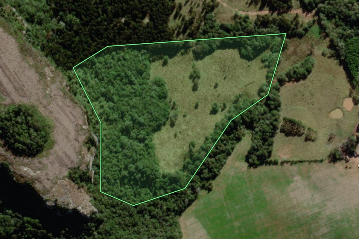 Imagem de satélite do imóvel rural em Piraí do Sul (PR), com o contorno declarado no CAR desenhado por cima.