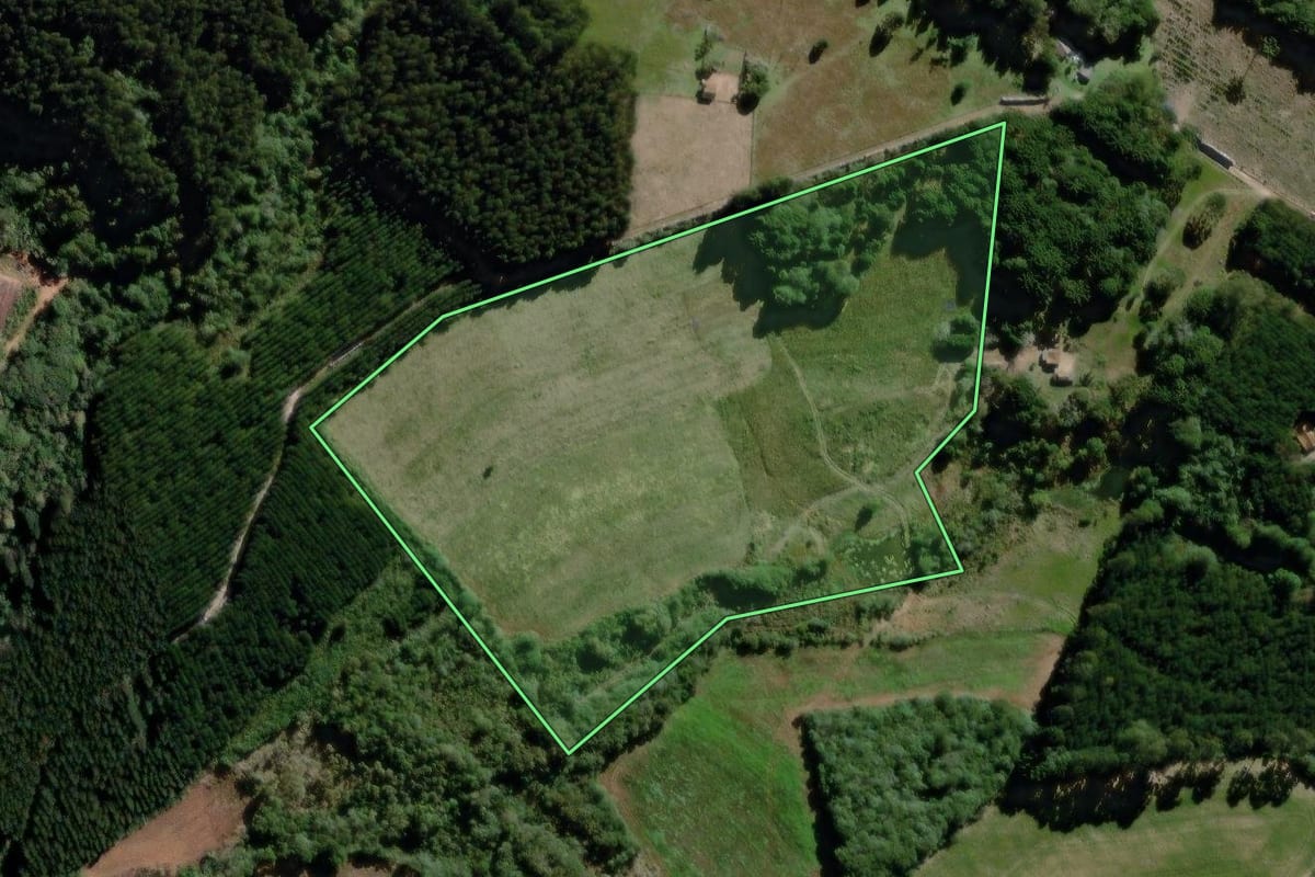 Imagem de satélite do imóvel rural em Piraí do Sul (PR), com o contorno declarado no CAR desenhado por cima.
