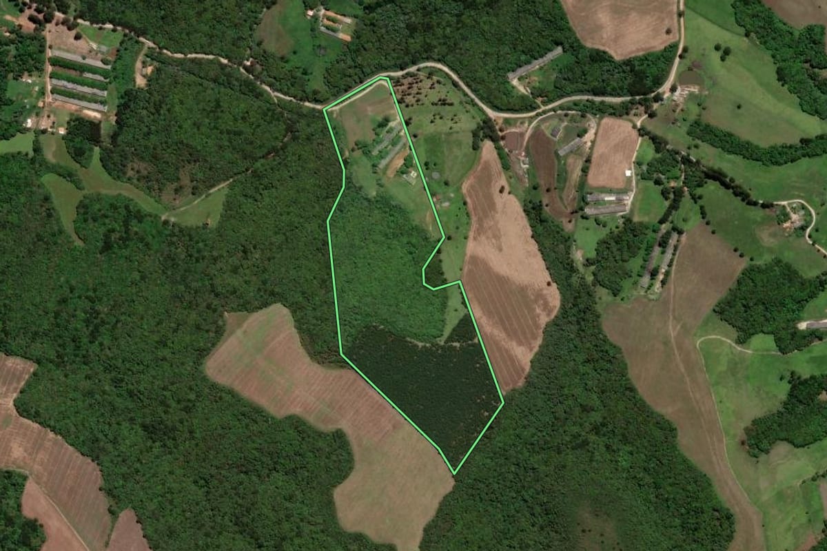 Imagem de satélite do imóvel rural em Piraí do Sul (PR), com o contorno declarado no CAR desenhado por cima.