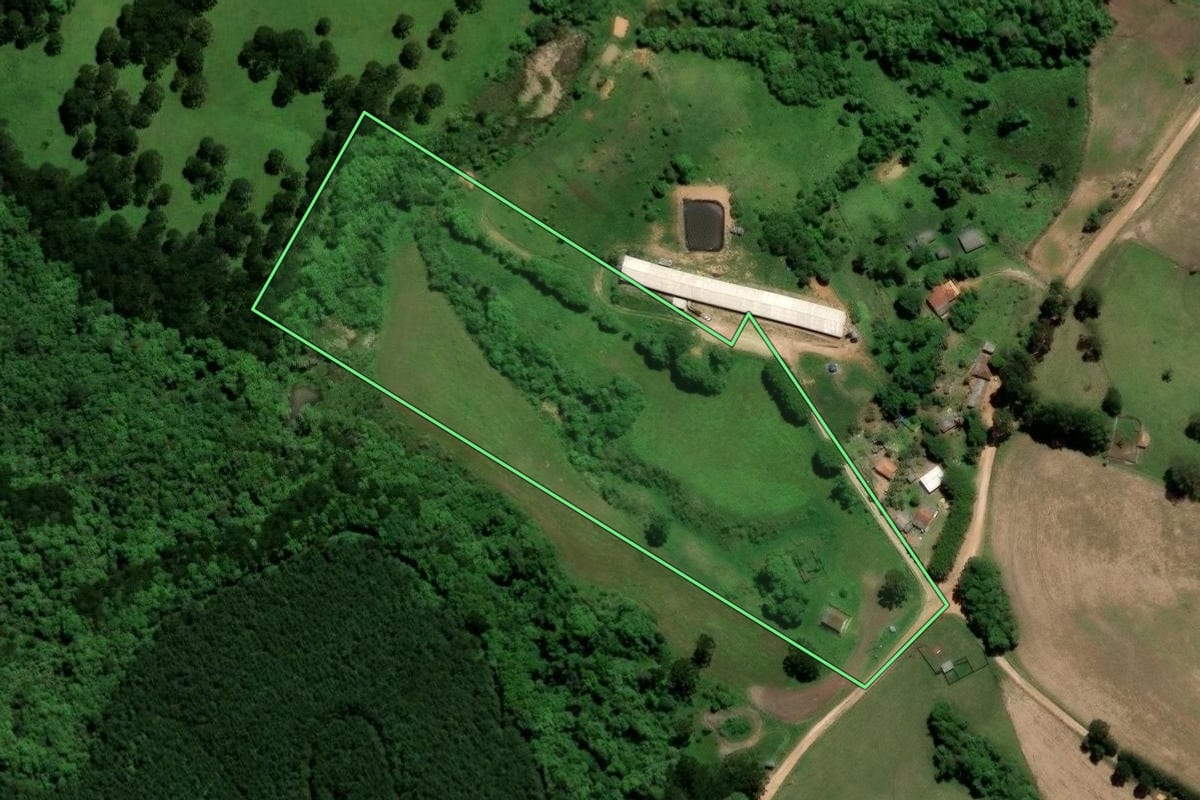 Imagem de satélite do imóvel rural em Piraí do Sul (PR), com o contorno declarado no CAR desenhado por cima.