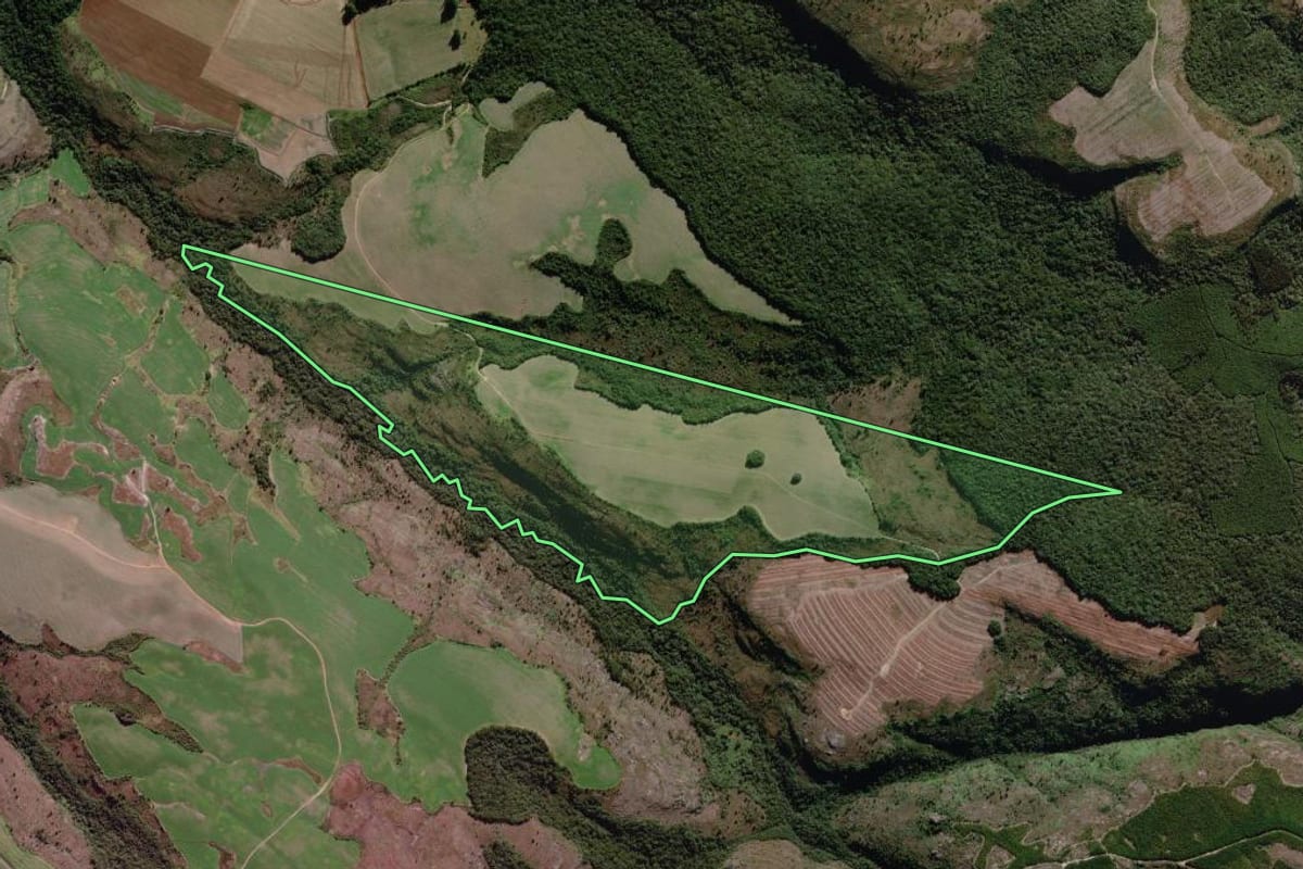 Imagem de satélite do imóvel rural em Piraí do Sul (PR), com o contorno declarado no CAR desenhado por cima.