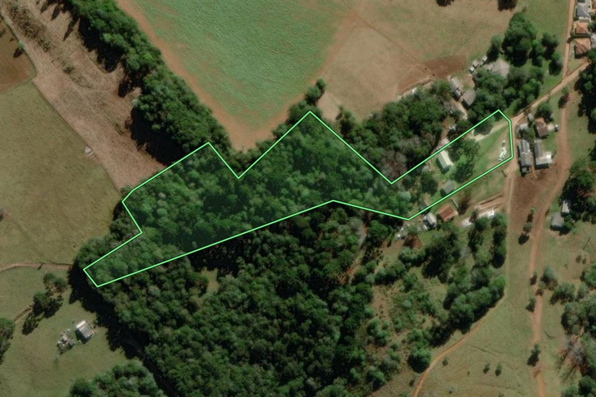 Imagem de satélite do imóvel rural em Piraí do Sul (PR), com o contorno declarado no CAR desenhado por cima.