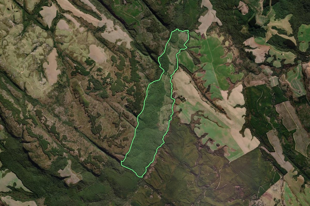 Imagem de satélite do imóvel rural em Piraí do Sul (PR), com o contorno declarado no CAR desenhado por cima.