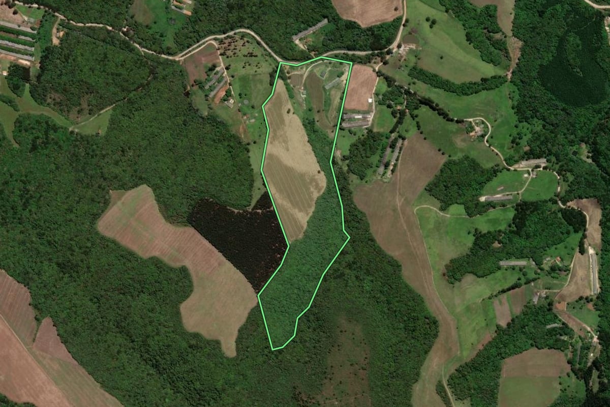 Imagem de satélite do imóvel rural em Piraí do Sul (PR), com o contorno declarado no CAR desenhado por cima.