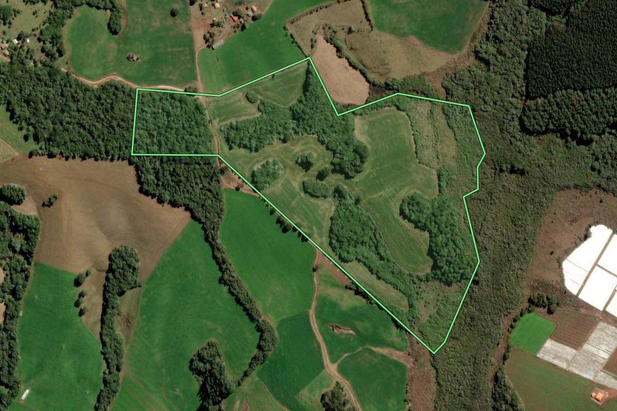 Imagem de satélite do imóvel rural em Piraí do Sul (PR), com o contorno declarado no CAR desenhado por cima.