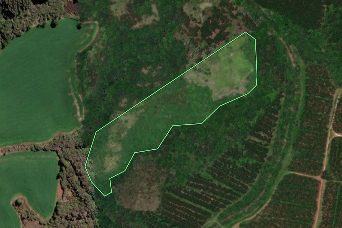 Imagem de satélite do imóvel rural em Piraí do Sul (PR), com o contorno declarado no CAR desenhado por cima.