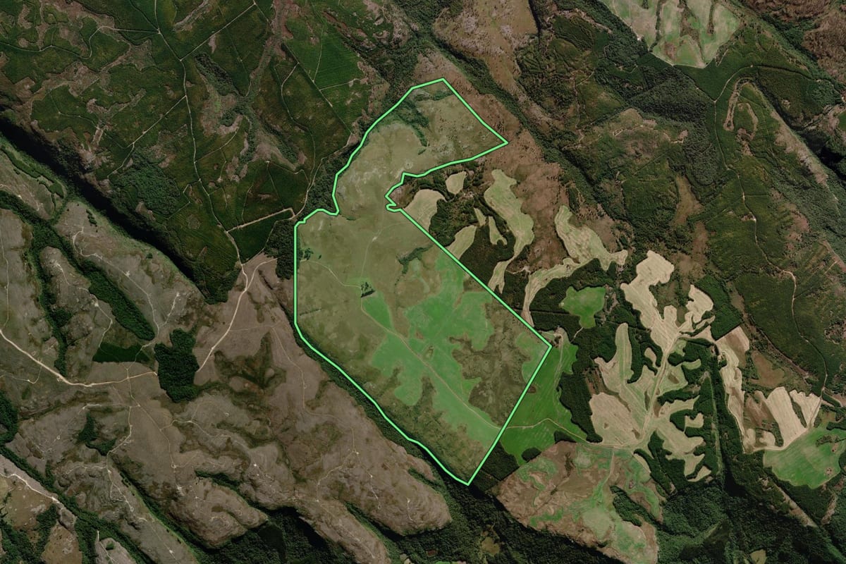 Imagem de satélite do imóvel rural em Piraí do Sul (PR), com o contorno declarado no CAR desenhado por cima.