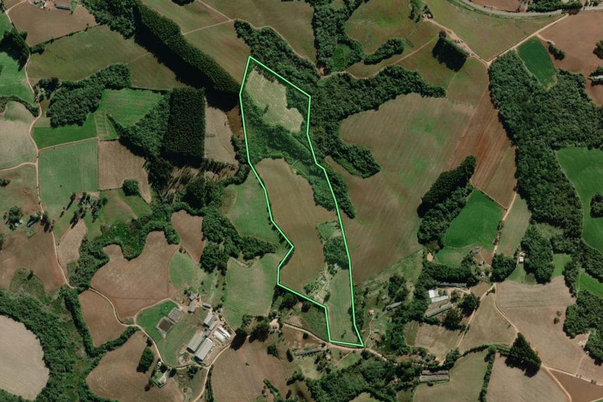 Imagem de satélite do imóvel rural em Piraí do Sul (PR), com o contorno declarado no CAR desenhado por cima.