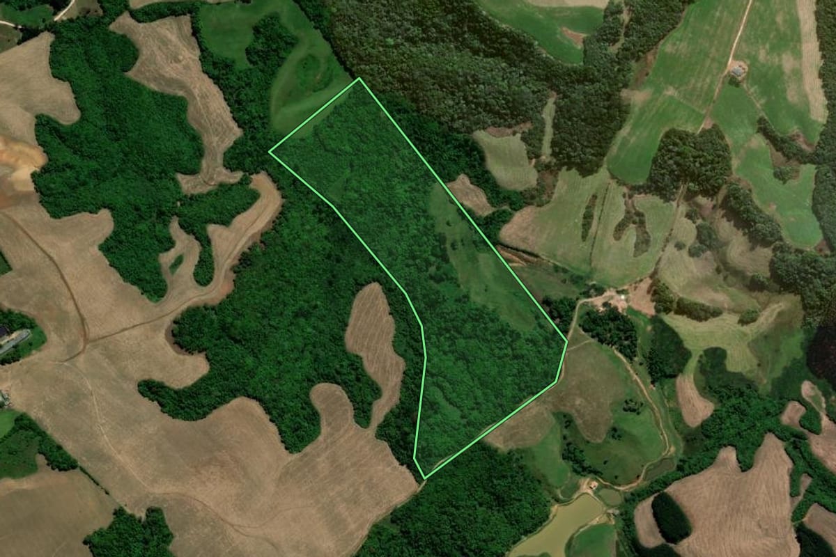 Imagem de satélite do imóvel rural em Piraí do Sul (PR), com o contorno declarado no CAR desenhado por cima.