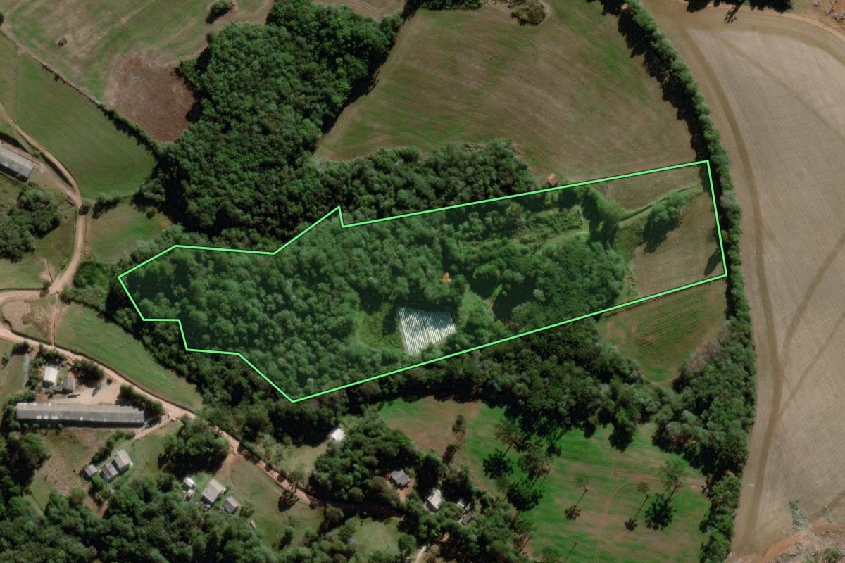 Imagem de satélite do imóvel rural em Piraí do Sul (PR), com o contorno declarado no CAR desenhado por cima.