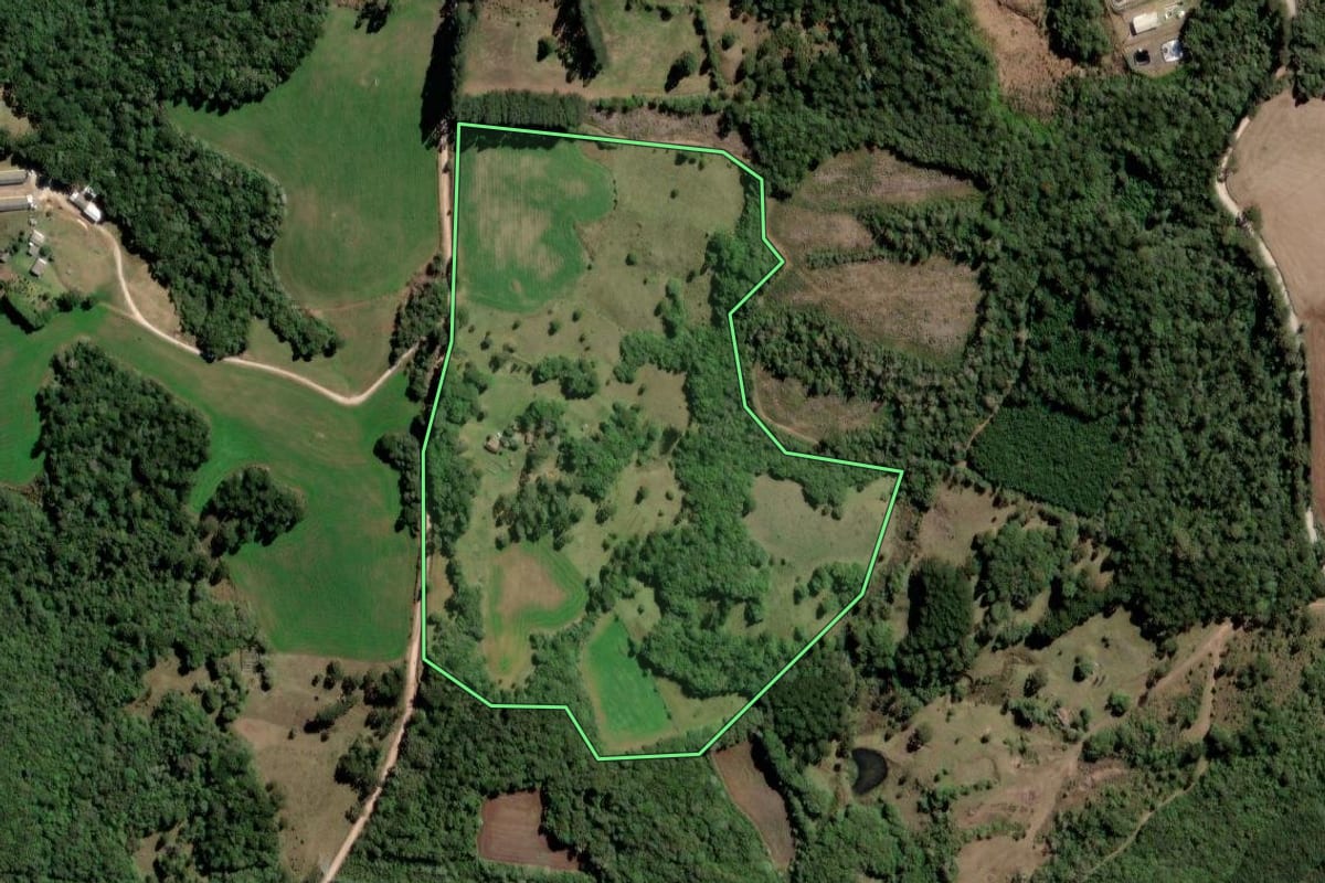 Imagem de satélite do imóvel rural em Piraí do Sul (PR), com o contorno declarado no CAR desenhado por cima.