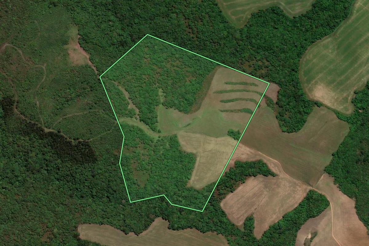 Imagem de satélite do imóvel rural em Piraí do Sul (PR), com o contorno declarado no CAR desenhado por cima.