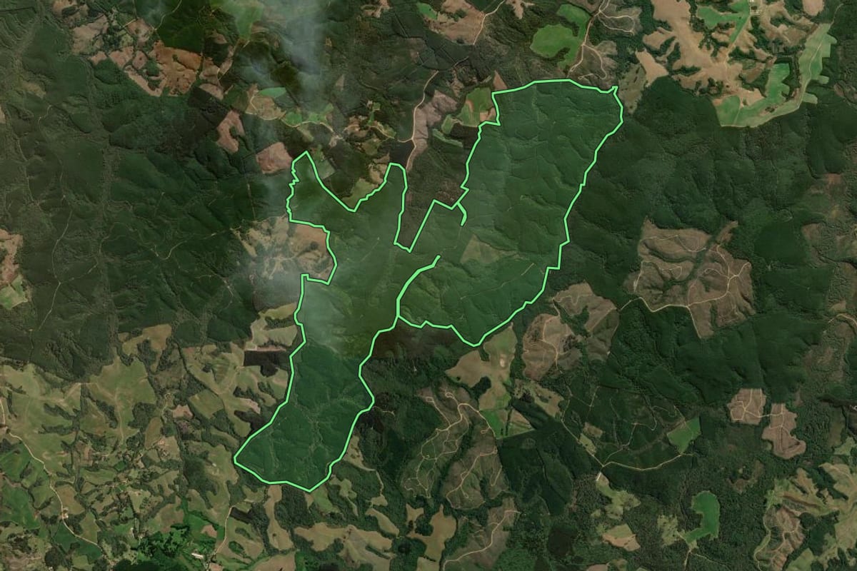 Imagem de satélite do imóvel rural em Piraí do Sul (PR), com o contorno declarado no CAR desenhado por cima.