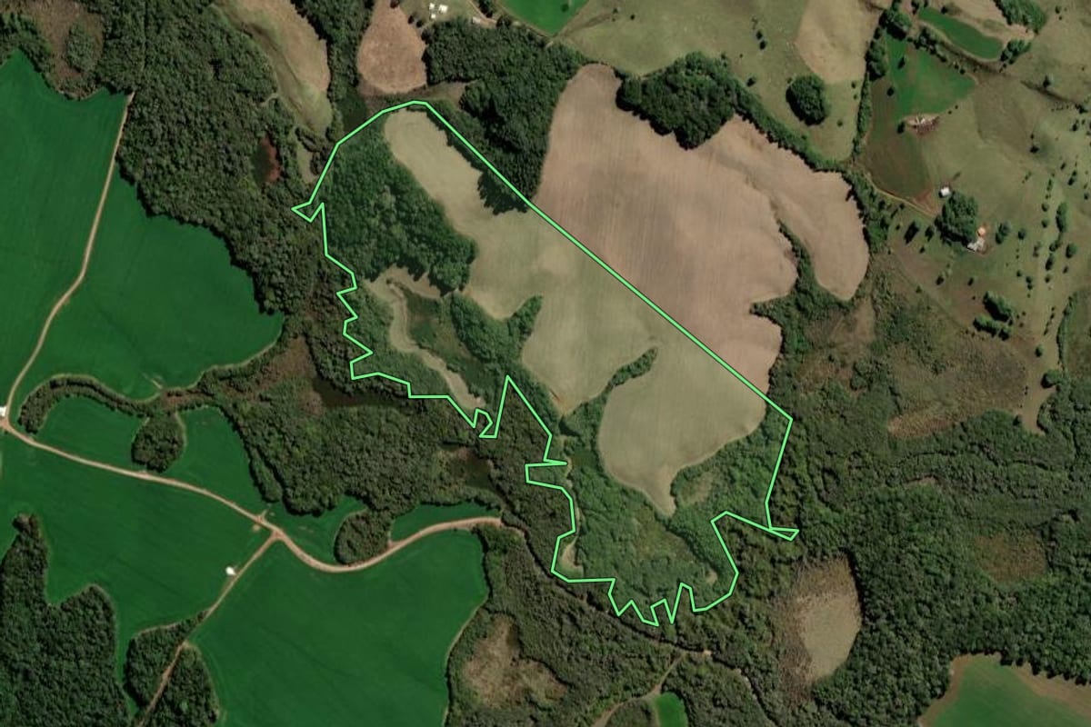 Imagem de satélite do imóvel rural em Piraí do Sul (PR), com o contorno declarado no CAR desenhado por cima.
