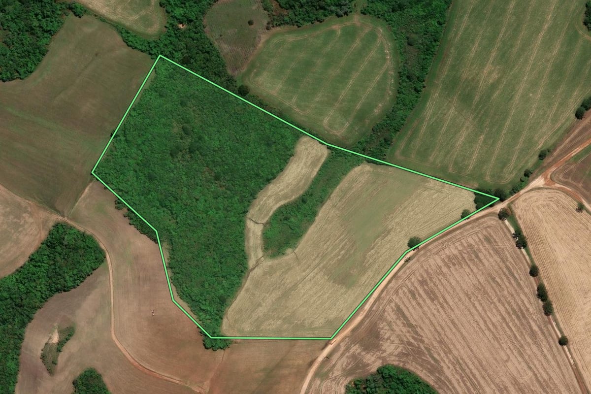 Imagem de satélite do imóvel rural em Piraí do Sul (PR), com o contorno declarado no CAR desenhado por cima.