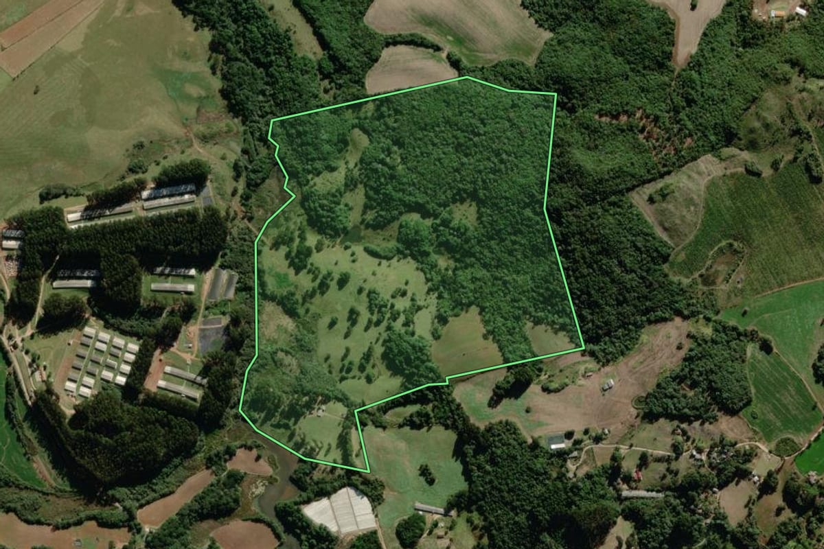 Imagem de satélite do imóvel rural em Piraí do Sul (PR), com o contorno declarado no CAR desenhado por cima.