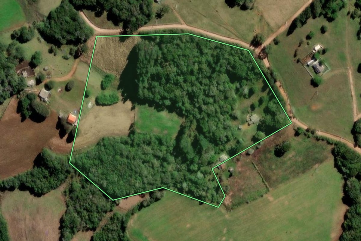 Imagem de satélite do imóvel rural em Piraí do Sul (PR), com o contorno declarado no CAR desenhado por cima.