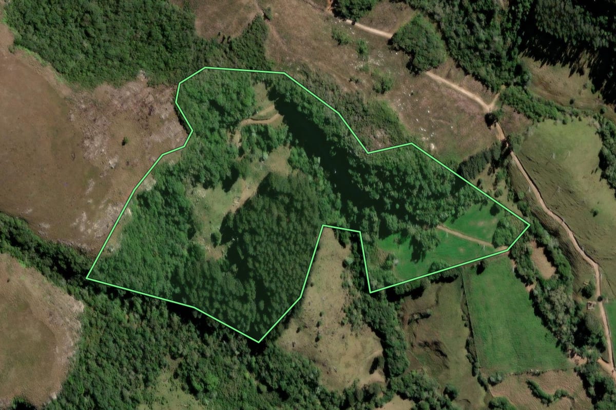 Imagem de satélite do imóvel rural em Piraí do Sul (PR), com o contorno declarado no CAR desenhado por cima.