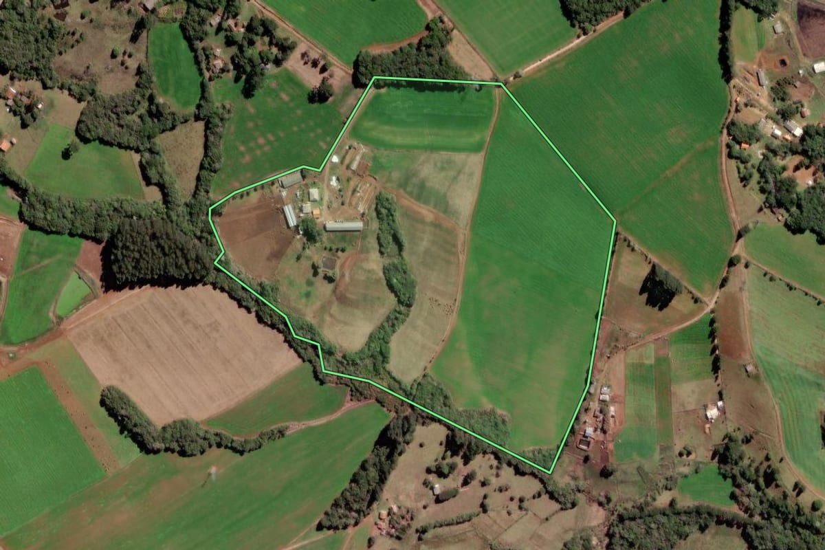 Imagem de satélite do imóvel rural em Piraí do Sul (PR), com o contorno declarado no CAR desenhado por cima.