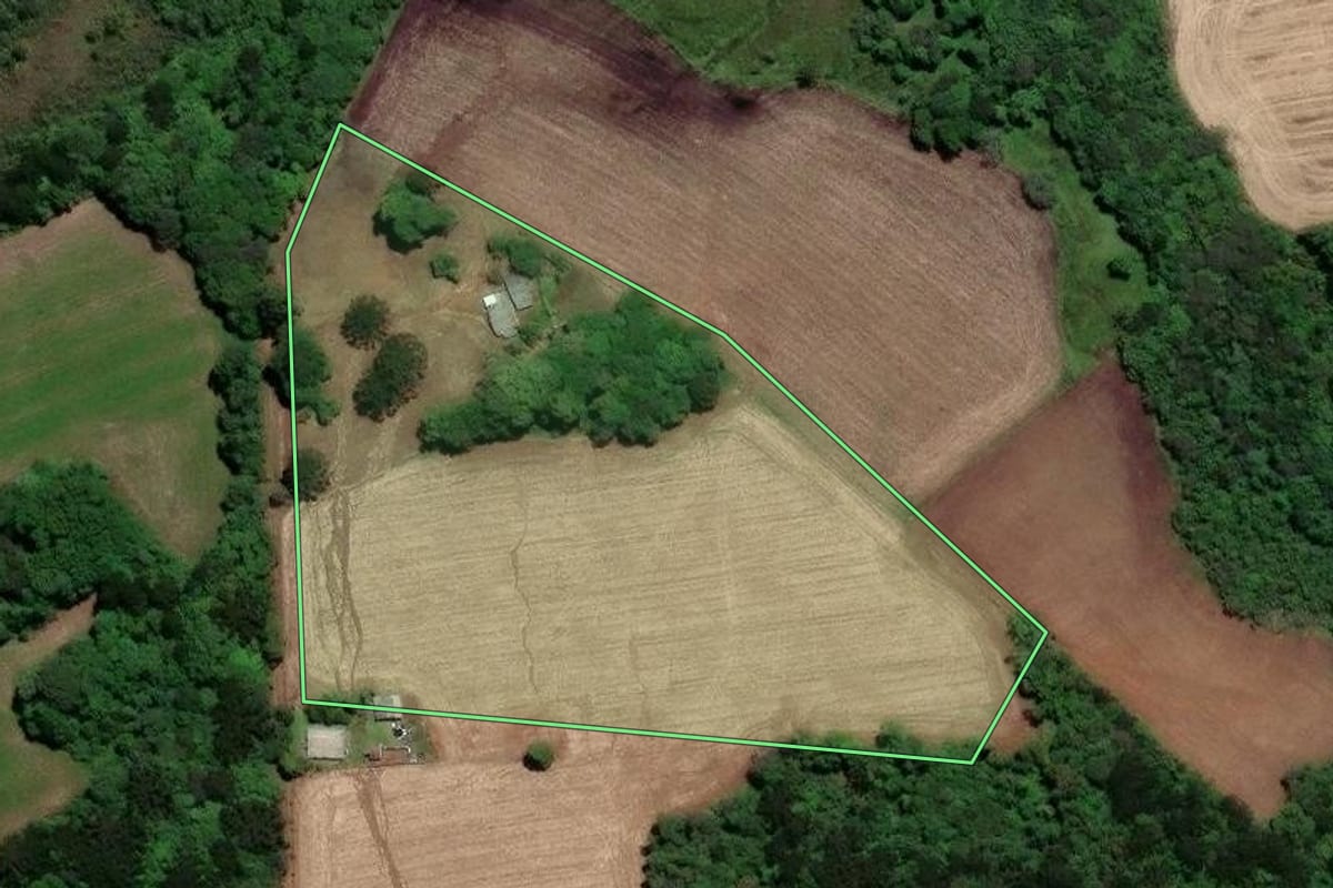 Imagem de satélite do imóvel rural em Piraí do Sul (PR), com o contorno declarado no CAR desenhado por cima.
